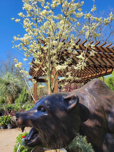 Roland's Nursery & Landscaping