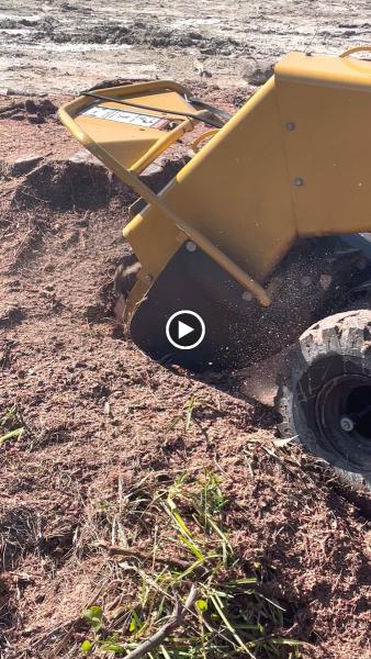 Forret Tree and Land Clearing