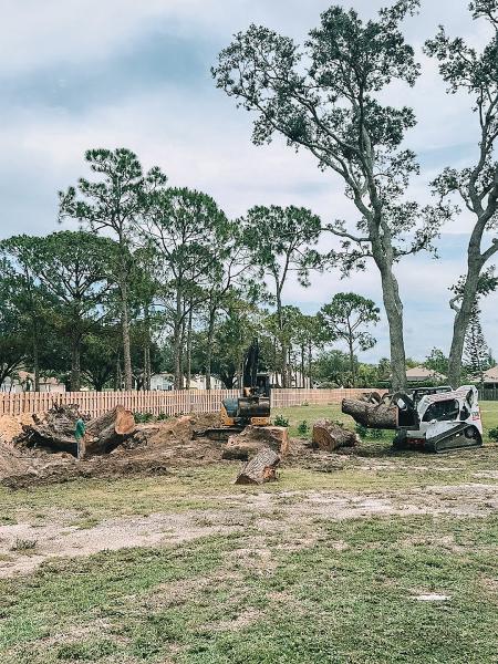 Forret Tree and Land Clearing