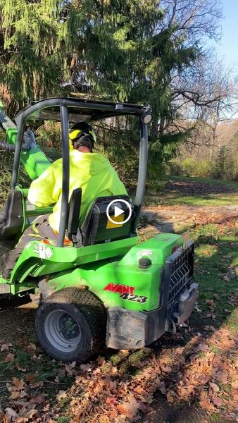 Liberty Tree Service