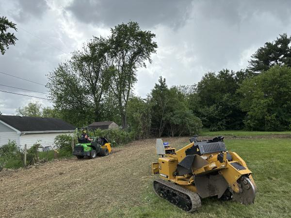Liberty Tree Service