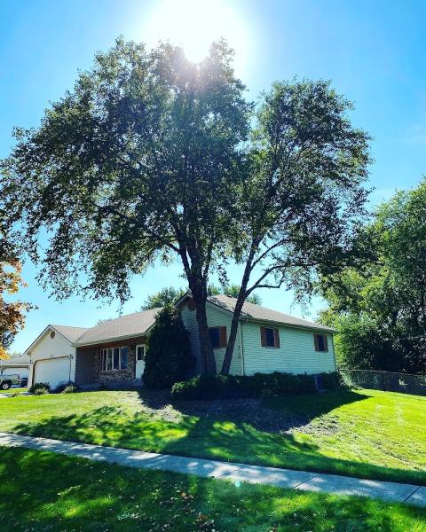 Liberty Tree Service