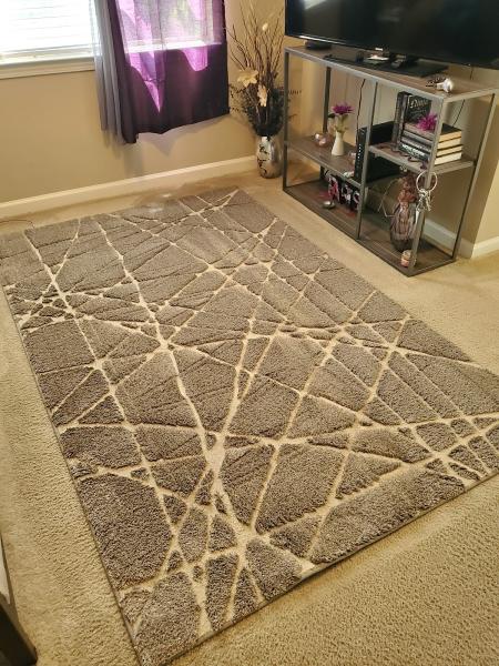The Carpet Cleaning Company
