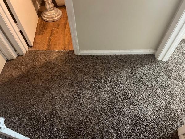 Mean Steam Carpet & Upholstery Cleaning
