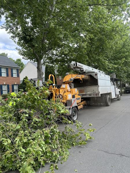 United Tree Care LLC
