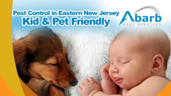 Abarb Pest Services