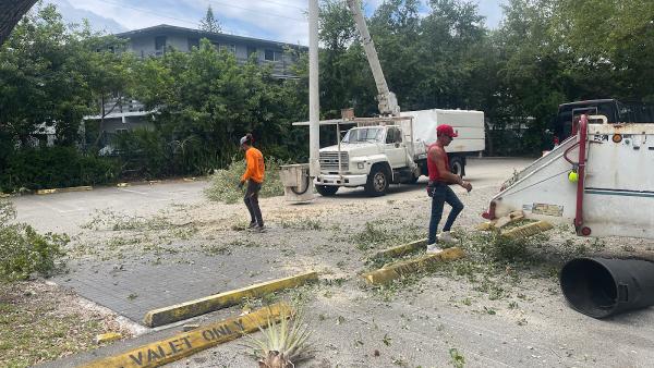 D&D Tree Service.