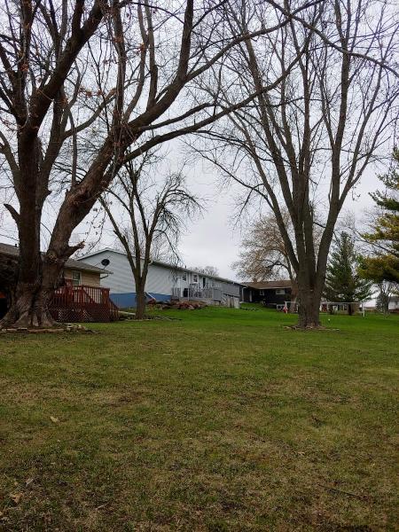 WI Cut Trees