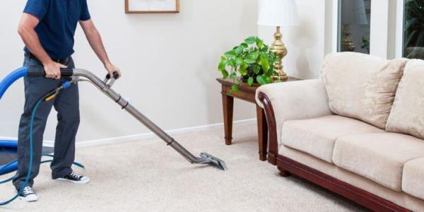 Picture Perfect Carpet Care