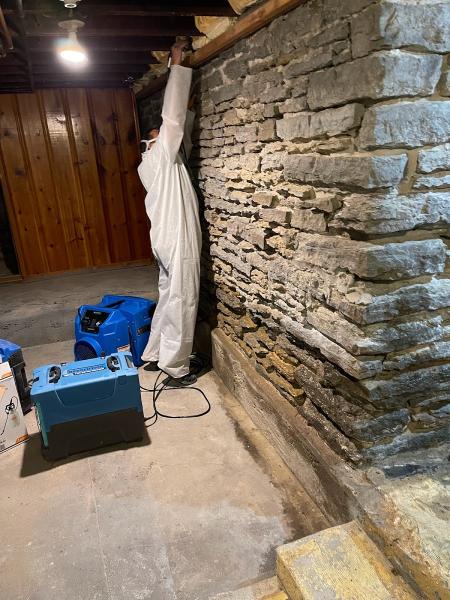 Certified Mold Removal Inspection and Testing Minneapolis MN