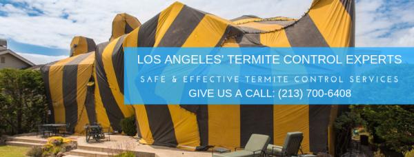 Blue Cloud Exterminators