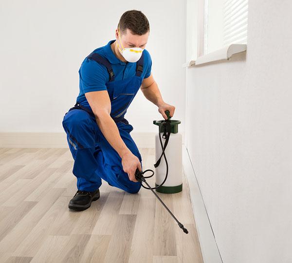 Blue Cloud Exterminators