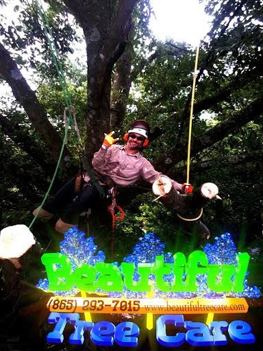 Beautiful Tree Care
