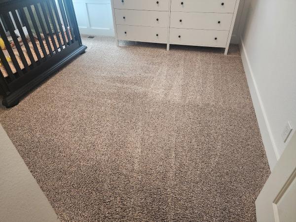 1st Resort Carpet Cleaning