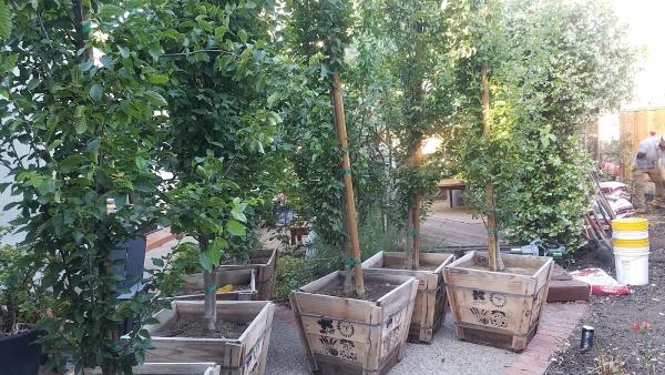 Rodriguez Hauling & Junk Removal
