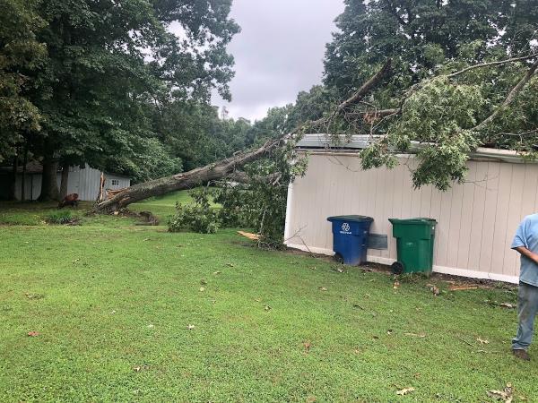 Durwood Tree Service