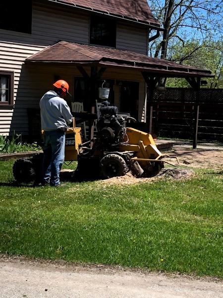 Gordon Gerke Stump Grinding