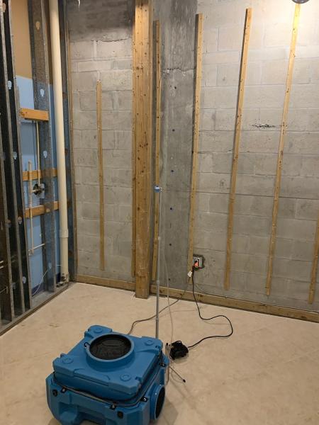 Apex Water Damage & Mold Experts