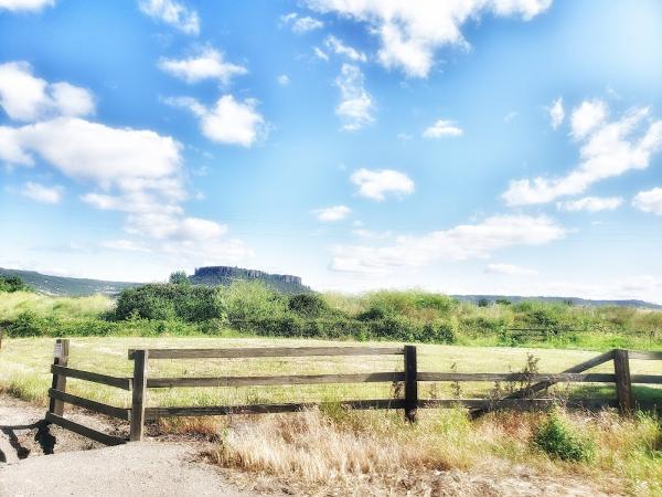 Southern Oregon Ready Mix LLC