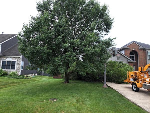 Pickering Tree Service LLC