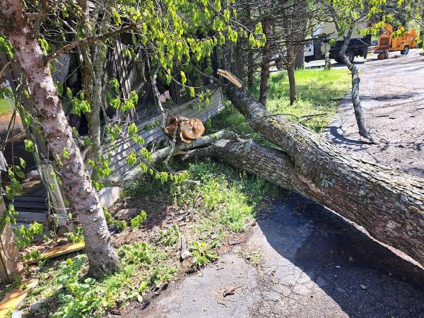 Pickering Tree Service LLC