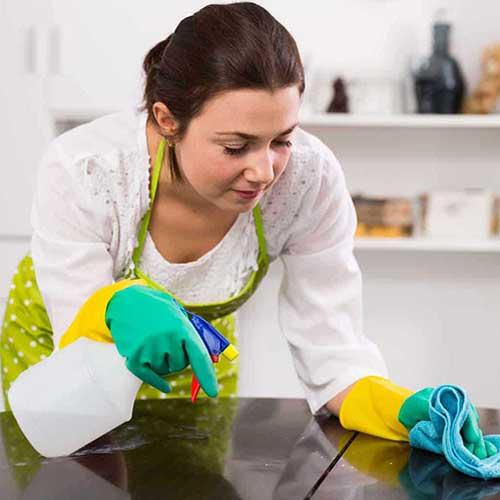 All American Local Maids