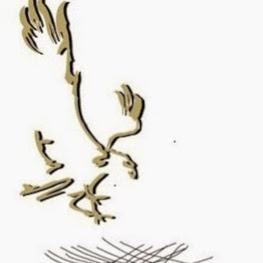 Eagle Nest Realty & Mortgage Inc.