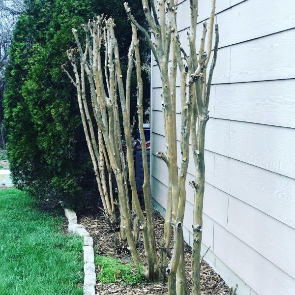 Wichita Lawn Company LLC