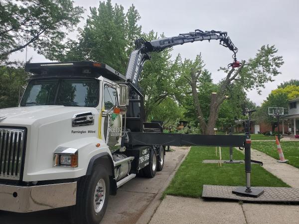 True Cut Tree Care Service