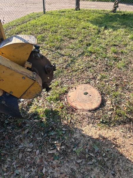 Reyes Tree Service
