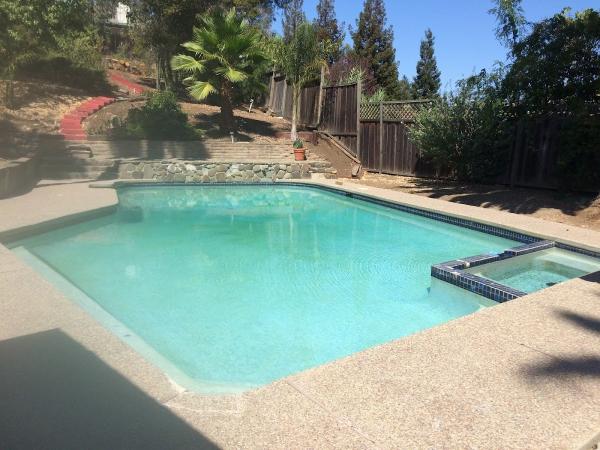 Pure Pool Solutions