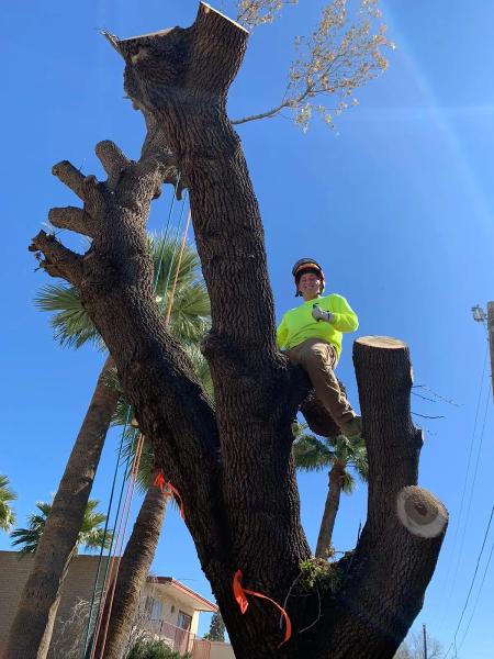 Arizona Yard Maintenance LLC