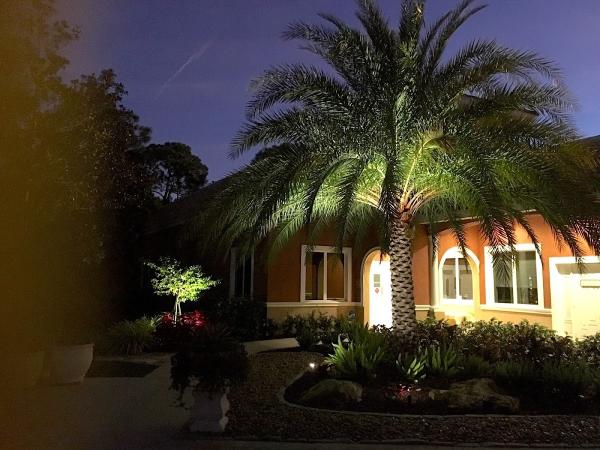 Artistree Landscape Maintenance & Design