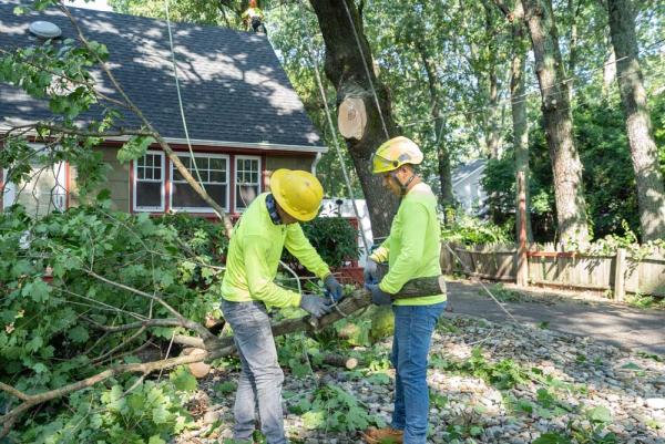 Kristian Tree Service