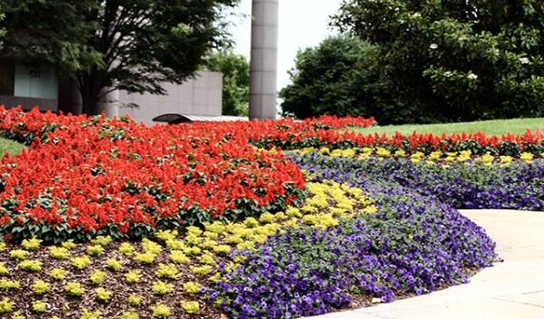 Alma Landscaping