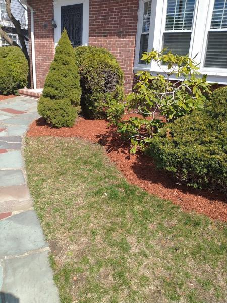Alma Landscaping