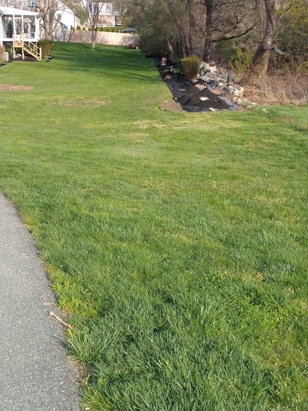 Alma Landscaping