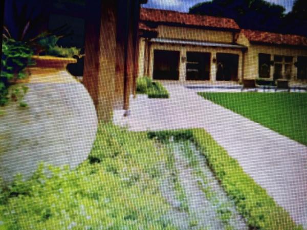Nestor Lawn Care Service