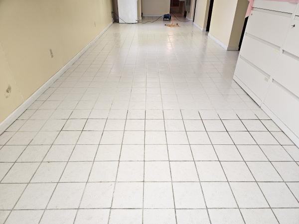 Next Level Carpet & Floor Care LLC