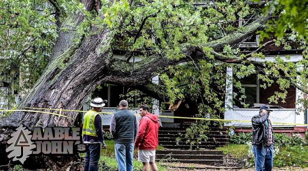 Aable John's Tree Service