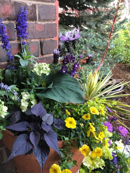 The Green Fuse Landscape & Design