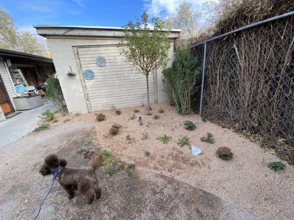 The Green Fuse Landscape & Design