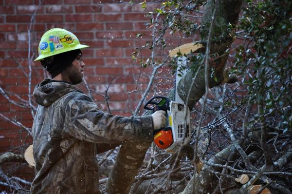 Folsom Tree Service