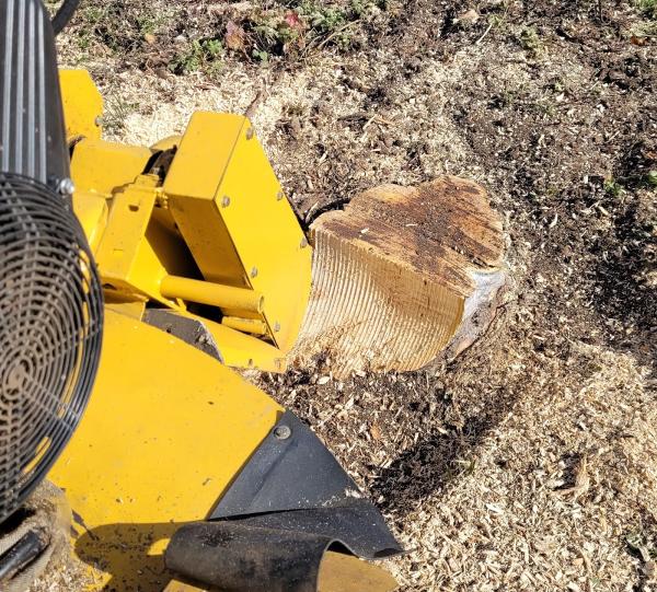 Big Bear Landscape Services LLC