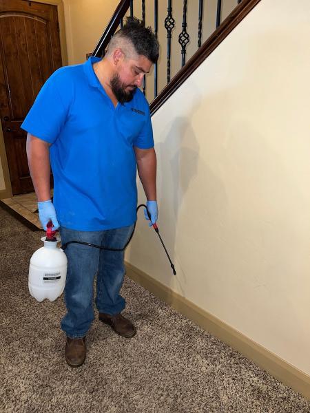 Salisbury Pest Solutions
