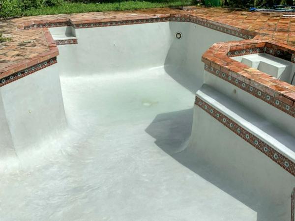 Alligator Pools