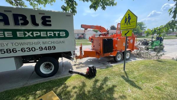Able Tree Experts