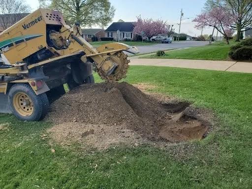 Joels Stump Grinding LLC