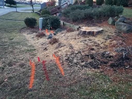 Joels Stump Grinding LLC