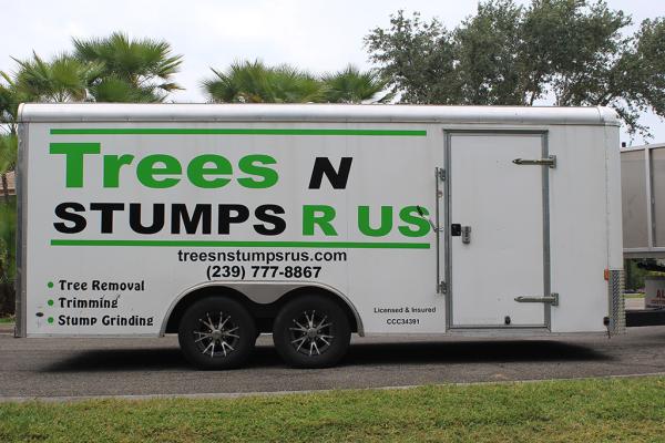 Trees N Stumps R Us